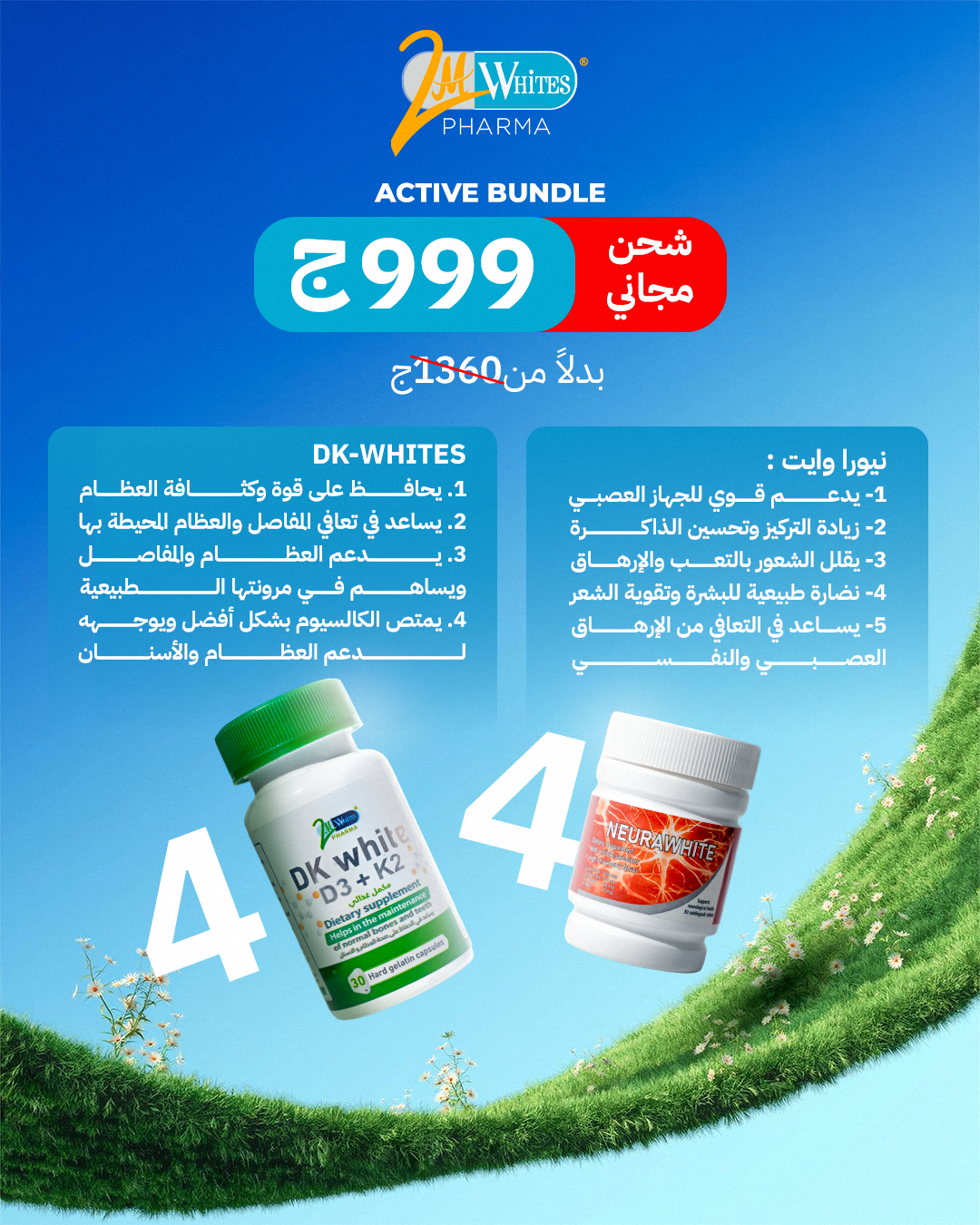 Active bundle                        4Dk + 4Neura